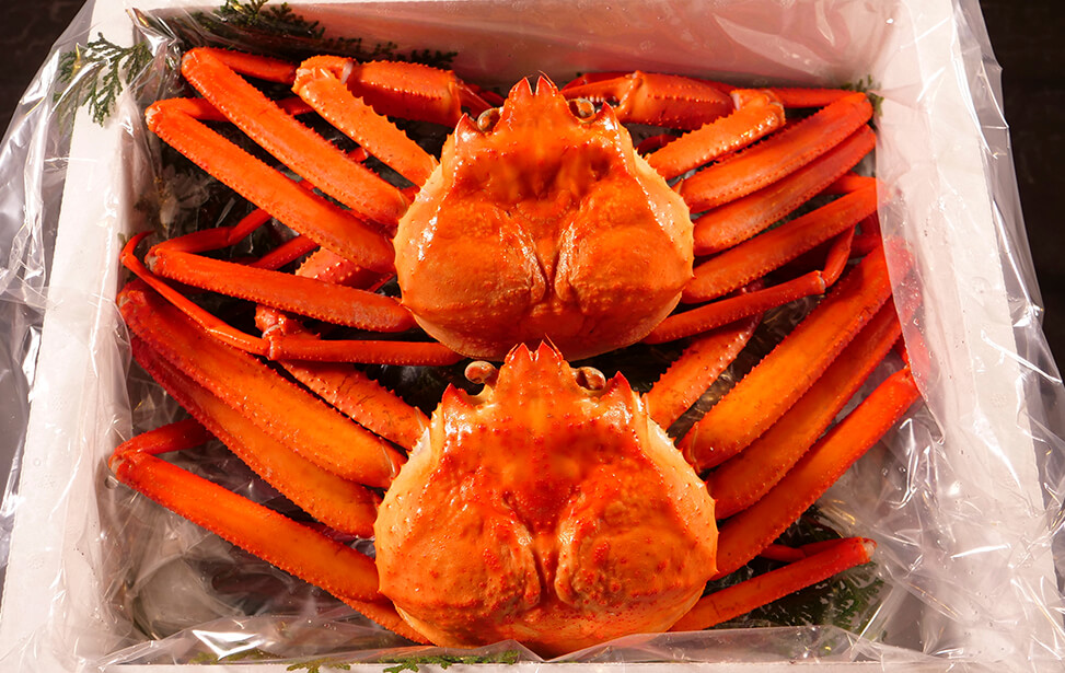紅ズワイガニ