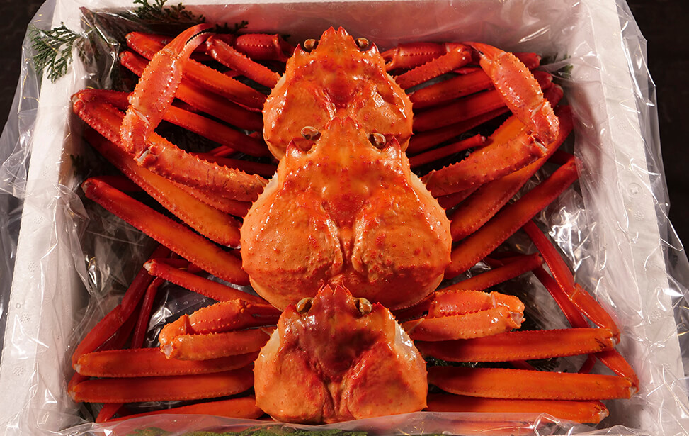 紅ズワイガニ
